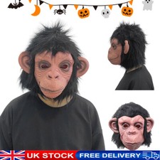 Costume Gorilla Monkey Animal