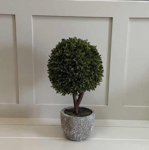 Faux potted buxus - potted,