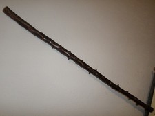 Blackthorn Walking Stick