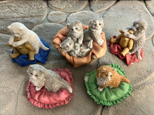 Set teviotdale cat - of,