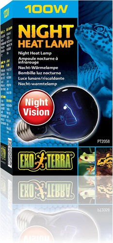 Exo terra night - terra, lamp