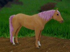 Wild Horse Islands RC Palomino