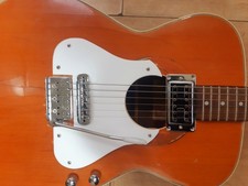 1970s Vintage Custom Eros 