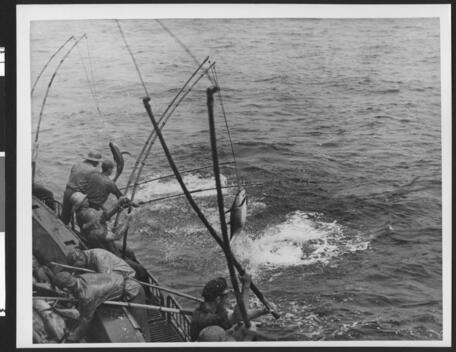 Commercial tuna fishermen - commercial,