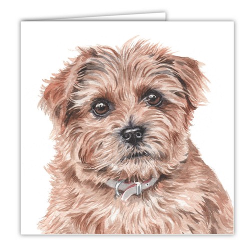 Norfolk terrier greetings - norfolk,