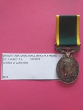 territorial efficiency medal