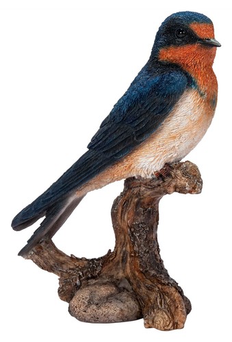 Swallow bird lifelike - -,