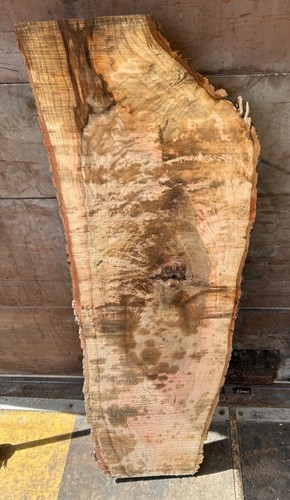 Live edge ash timber - live,
