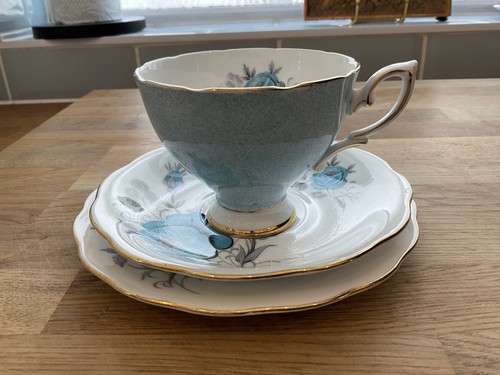 Royal standard harlequin - harlequin, blue