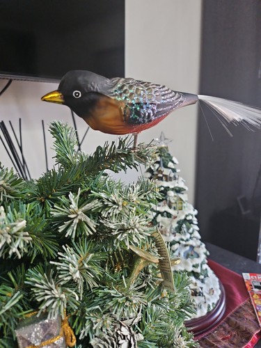 Old world christmas - christmas, glass