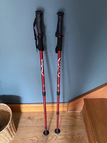 Pair telescopic walking - telescopic,