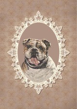 BULLDOG CHARMING DOG GREETINGS NOTE CARD BEAUTIFUL HEAD STUDY