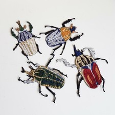 Bugs Giant Flower Beetle