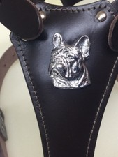 Leather dog harness for French