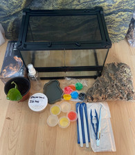 Reptile /invertebrate Glass