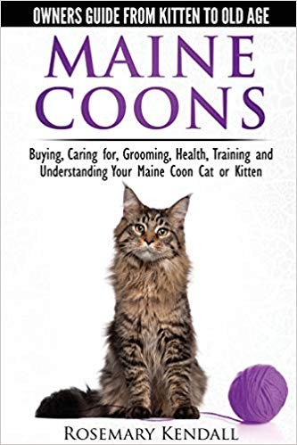 Rosemary kendall maine coon - -,