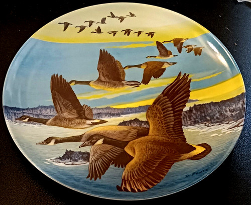 Vintage dominion bradex - dominion,