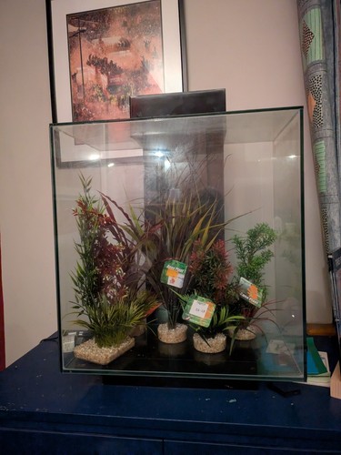 Fluval edge 46l - fluval, 2.0