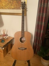 Tanglewood evolution tw28 csn - evolution,