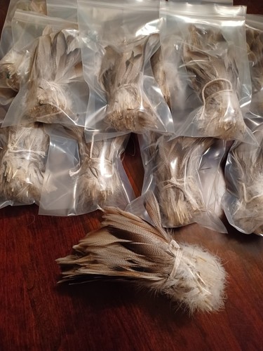 Bronze mallard bundle - mallard,