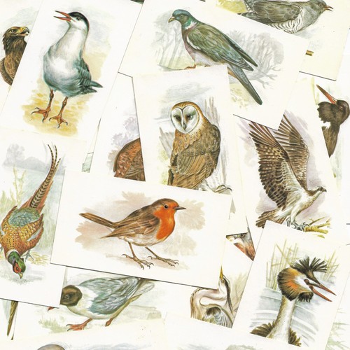 Vintage grandee cigar cards - grandee,