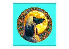 Afghan hound ,Greyhound 