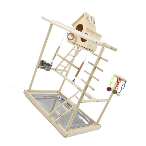 Birds parrot playground play - playground,