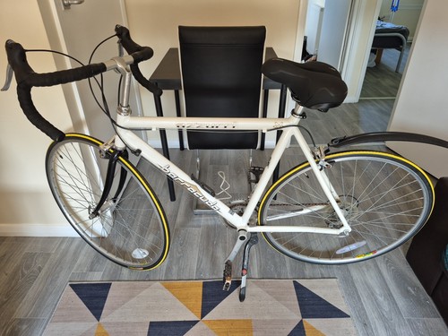 Racer bike barracuda azzuri - bike,