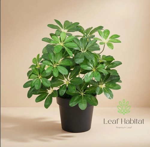 Artificial schefflera umbrella - artificial,