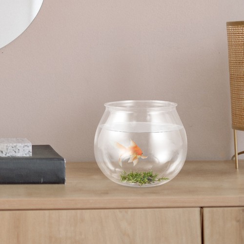 Anti fall mini plastic fish - anti-fall,