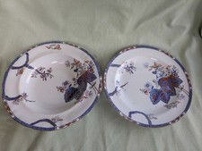 Late Spode Newstone  2061