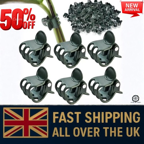 100x plastic plant - 100x, support