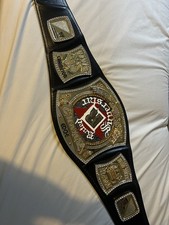 Official Rated R Spinner Championship WWE Replica wrestling belt.  