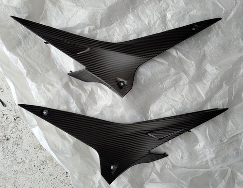 Rsv4 tuono 1100 carbon - rsv4,