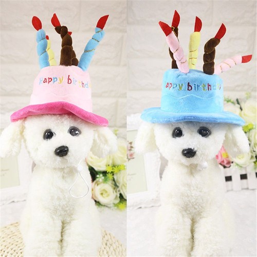 Dog cat hat - dog,
