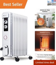 Safe & Powerful 2500W Portable