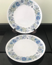 Wedgwood Clementine 8” Plates x 2 Vintage Collectable china
