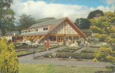 Ambleside nurseries KLD 552