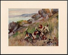 BEAGLE HOUNDS HUNTING GREAT
