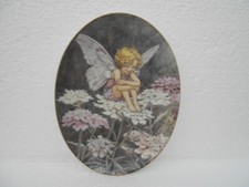 Flower Fairies ~ The Candytuft  Fairy ~ Royal Worcester Plate ~ C. Barker 2000