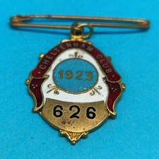 Cheltenham Horse Racing Ladies