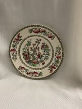 Johnson brothers Indian