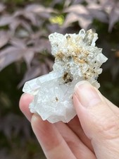 Brookite With Himalayan Quartz