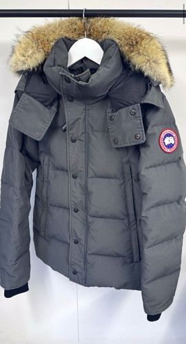 Canada goose chilliwack - goose,