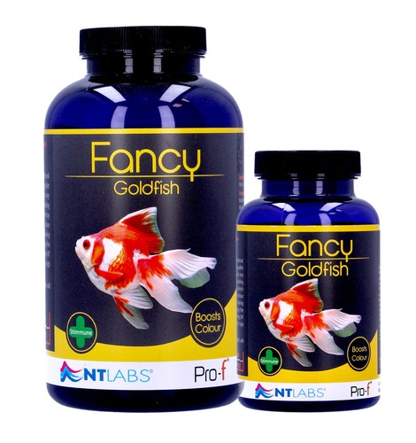 Labs pro fancy - nt, pro-f