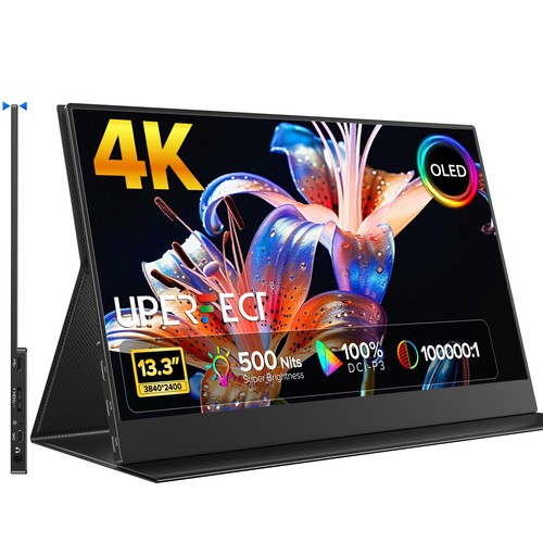 Oled portable display - 13.3",