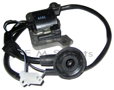 Ignition coil module - ignition,