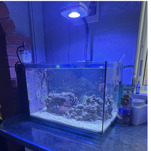 Custom fluval evo high spec - fluval,