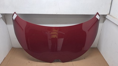 Renault zoe bonnet - bonnet, 651004516r