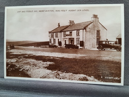 Buxton cat fiddle - buxton, old